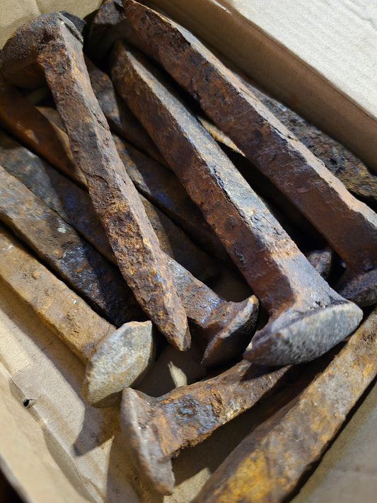 Rail Road Spike