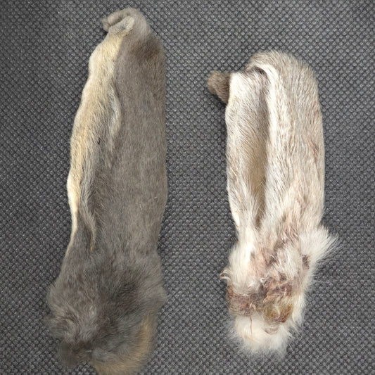 Rabbit parts