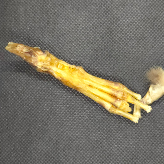 Rabbit parts