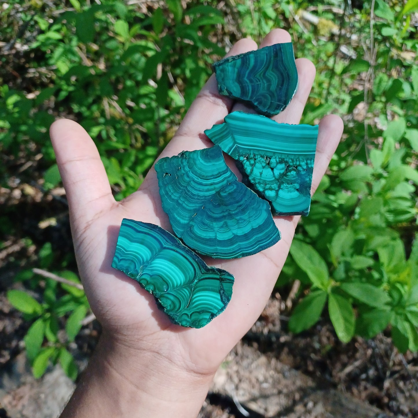 Polished Malachite Slices