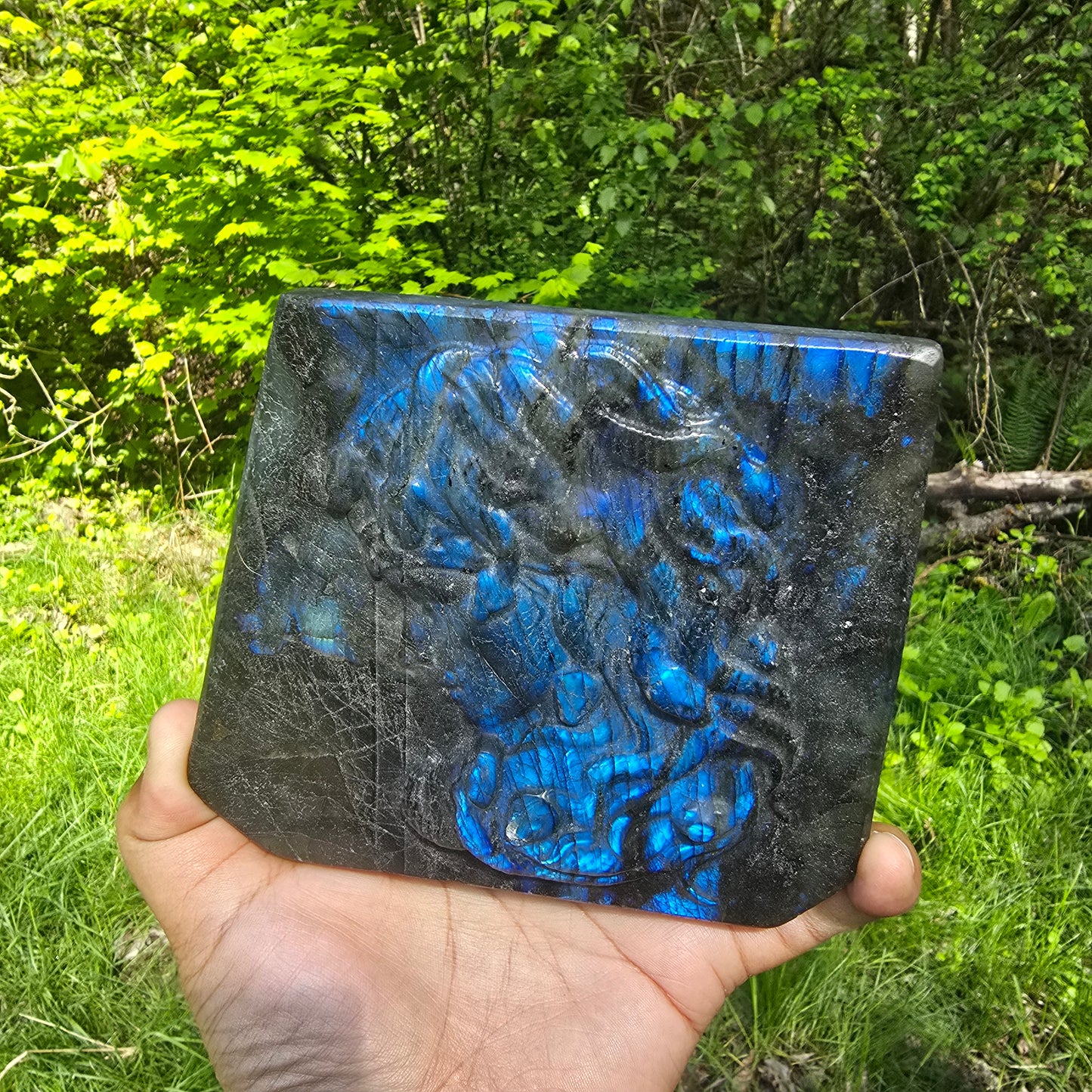 Medusa in Labradorite