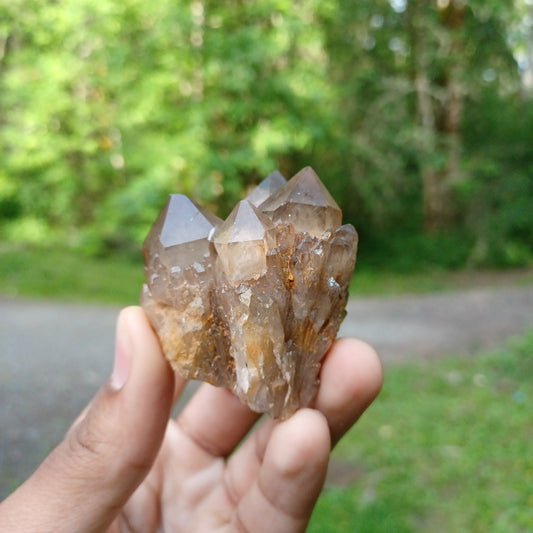 Natural Congo Citrine #1