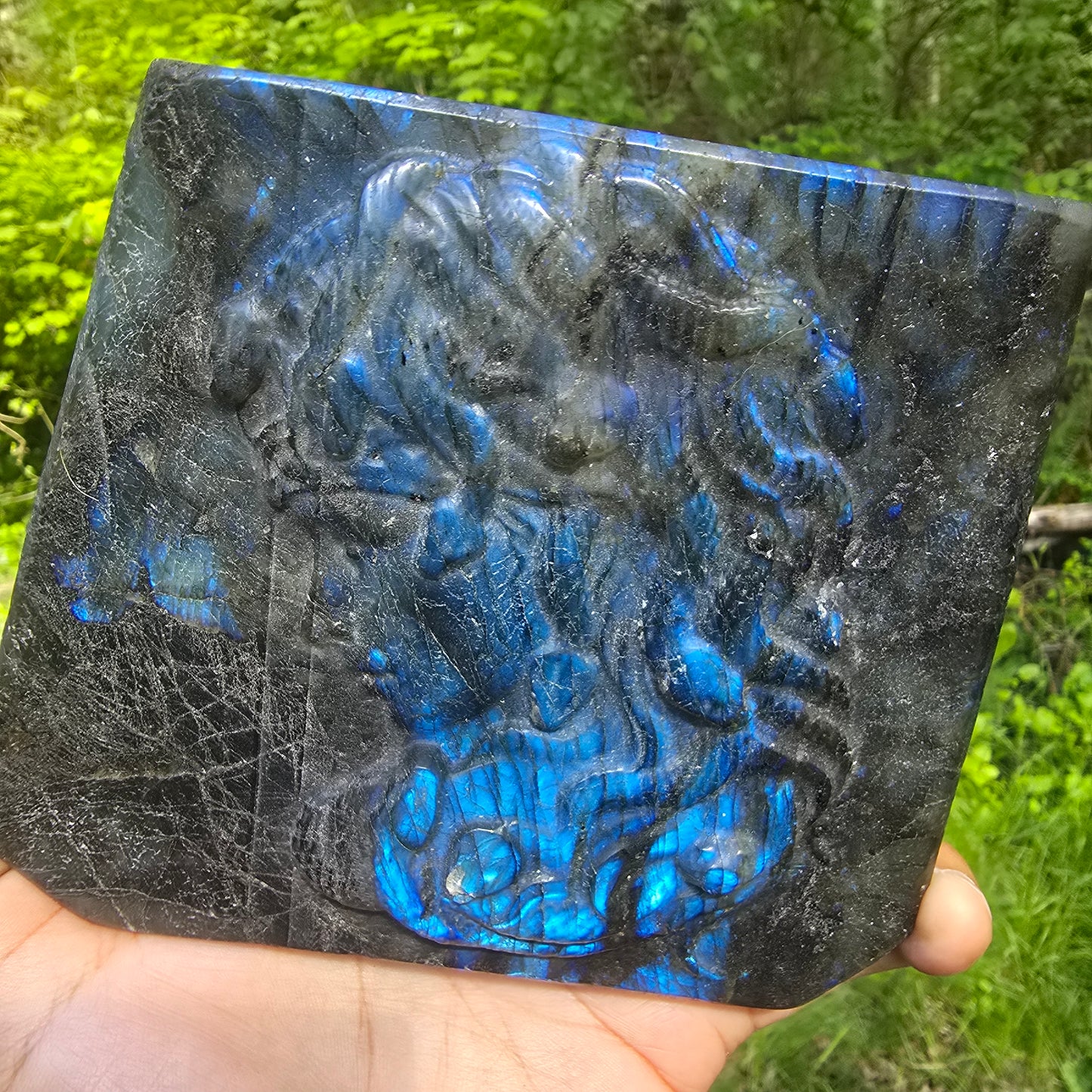 Medusa in Labradorite