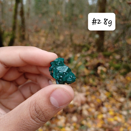 Small Dioptase clusters