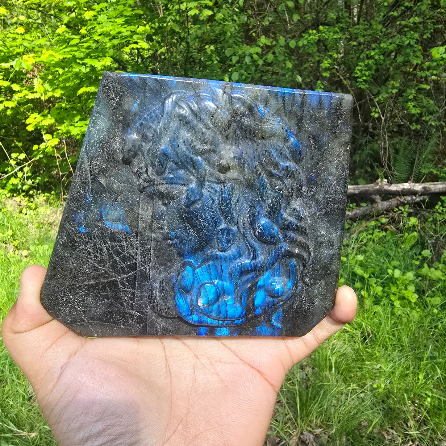 Medusa in Labradorite
