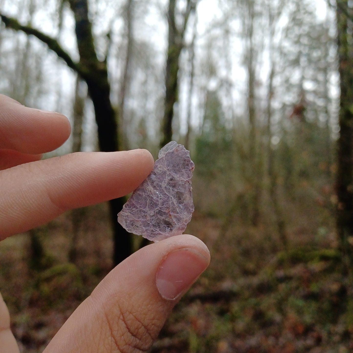Purple mica littles