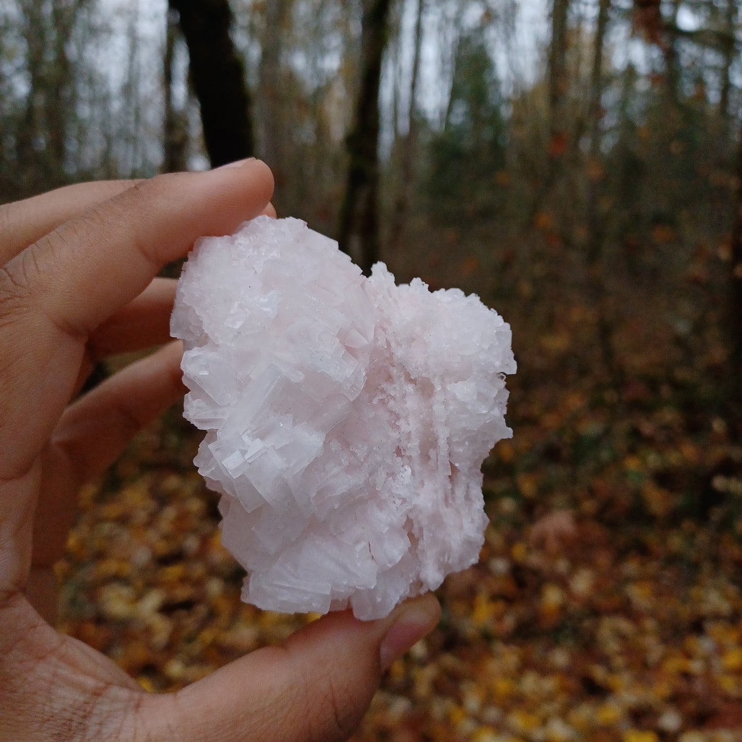 Pink halite cluster #3