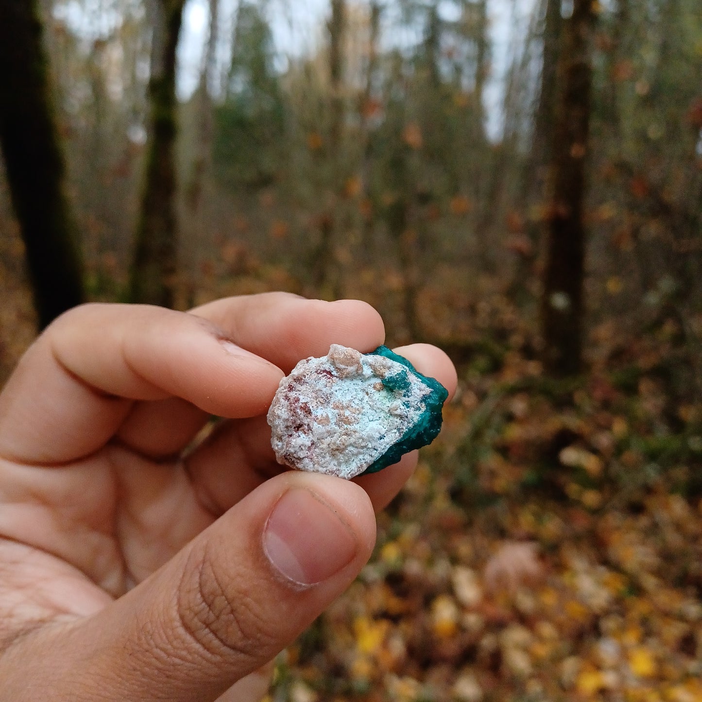 Small Dioptase clusters
