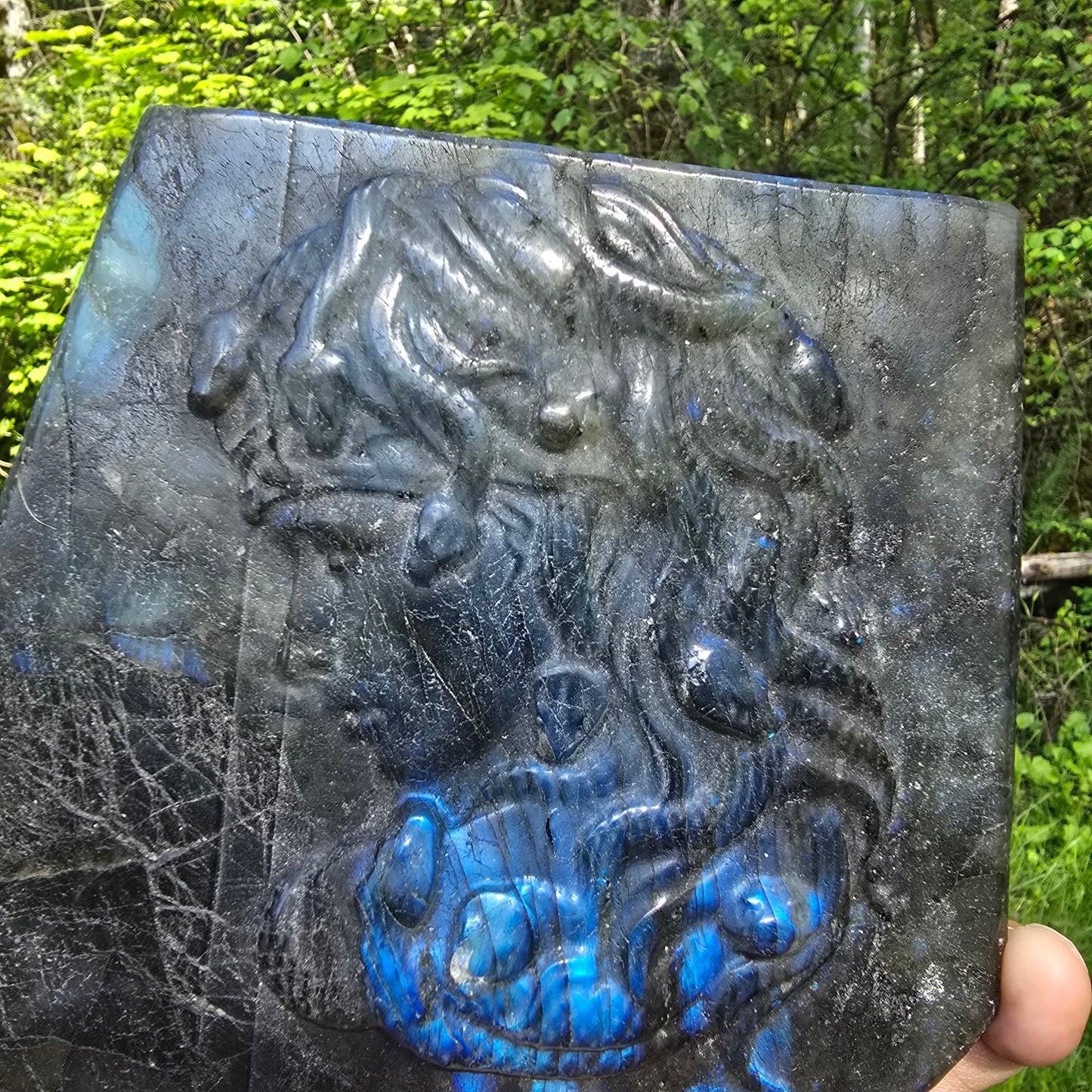 Medusa in Labradorite