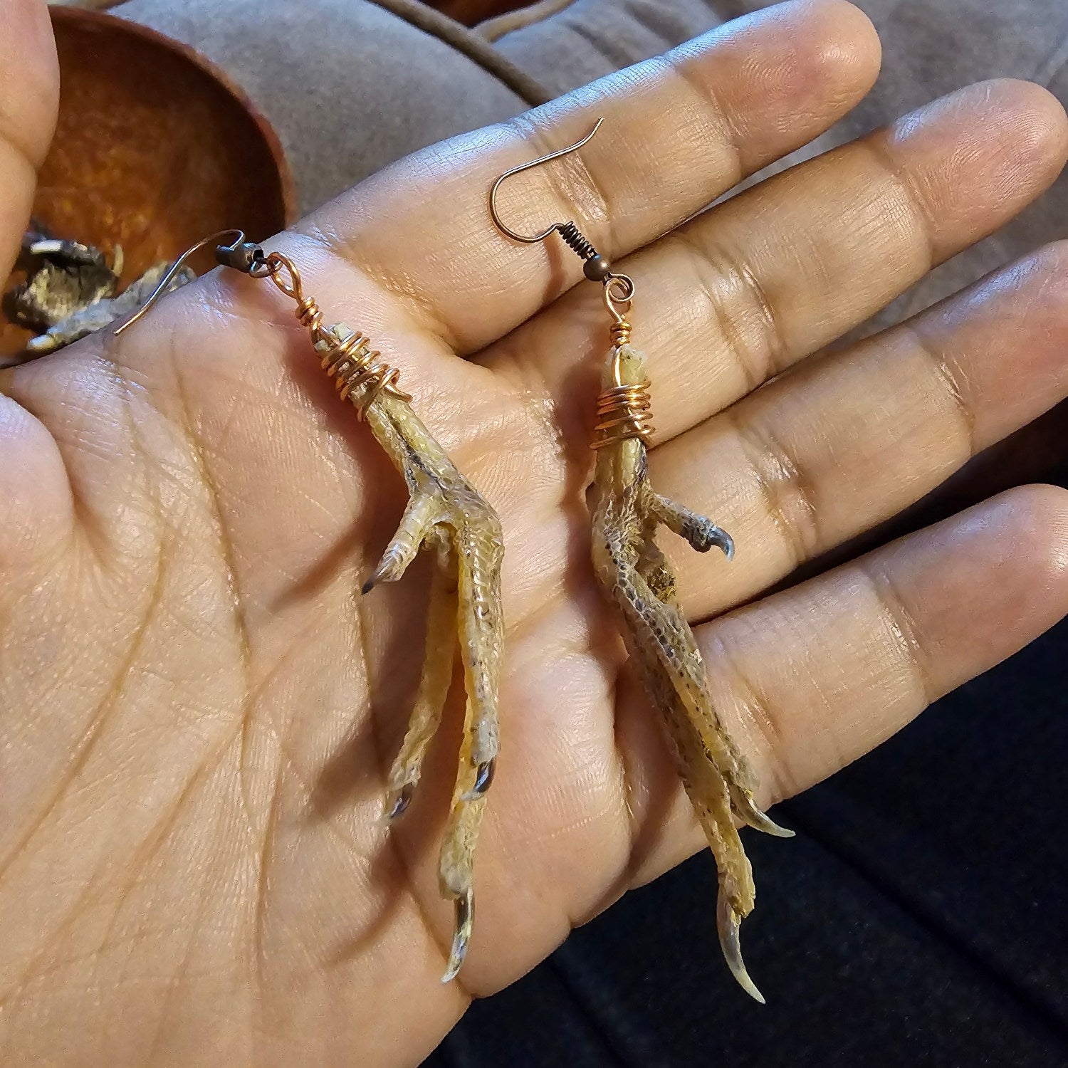 Taxidermy, bones and oddities!