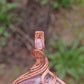 Cobalto calcite and rhodocroisite pendant