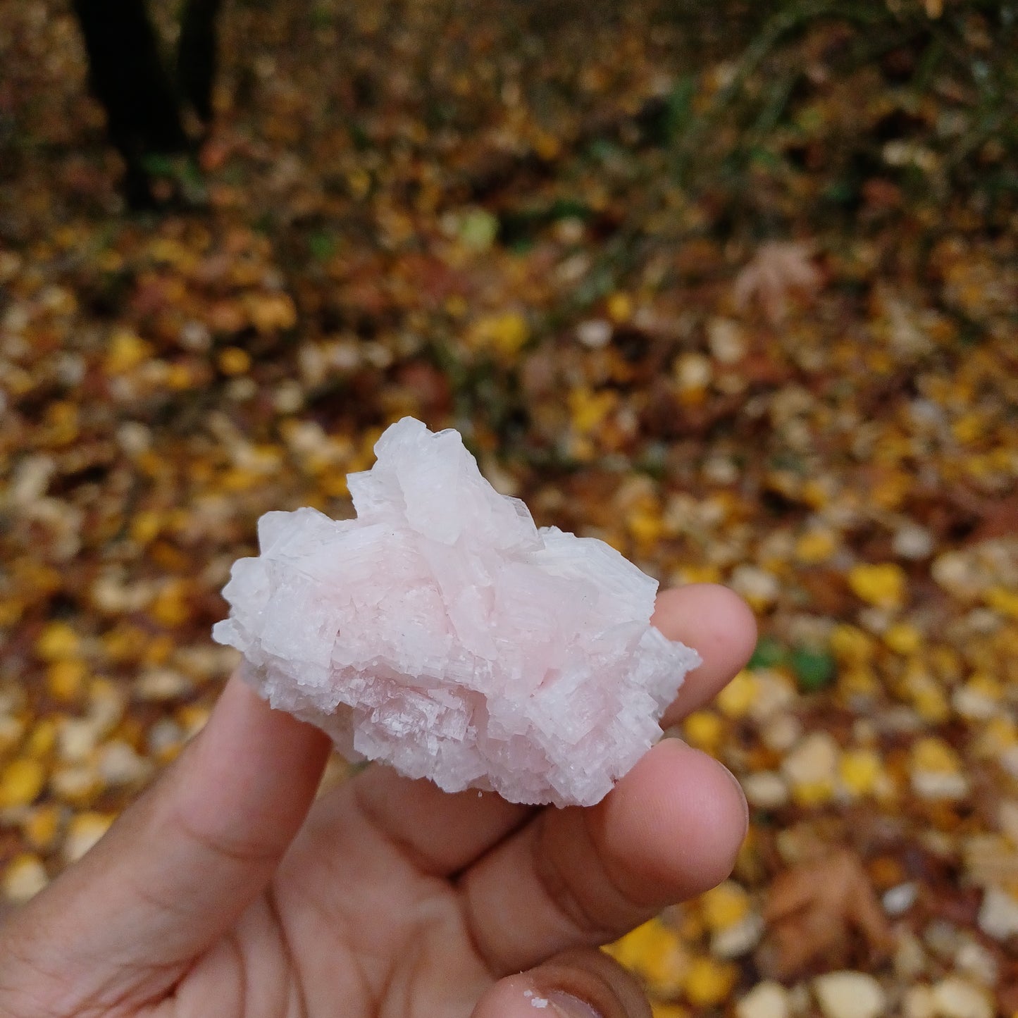 Halite cluster #1