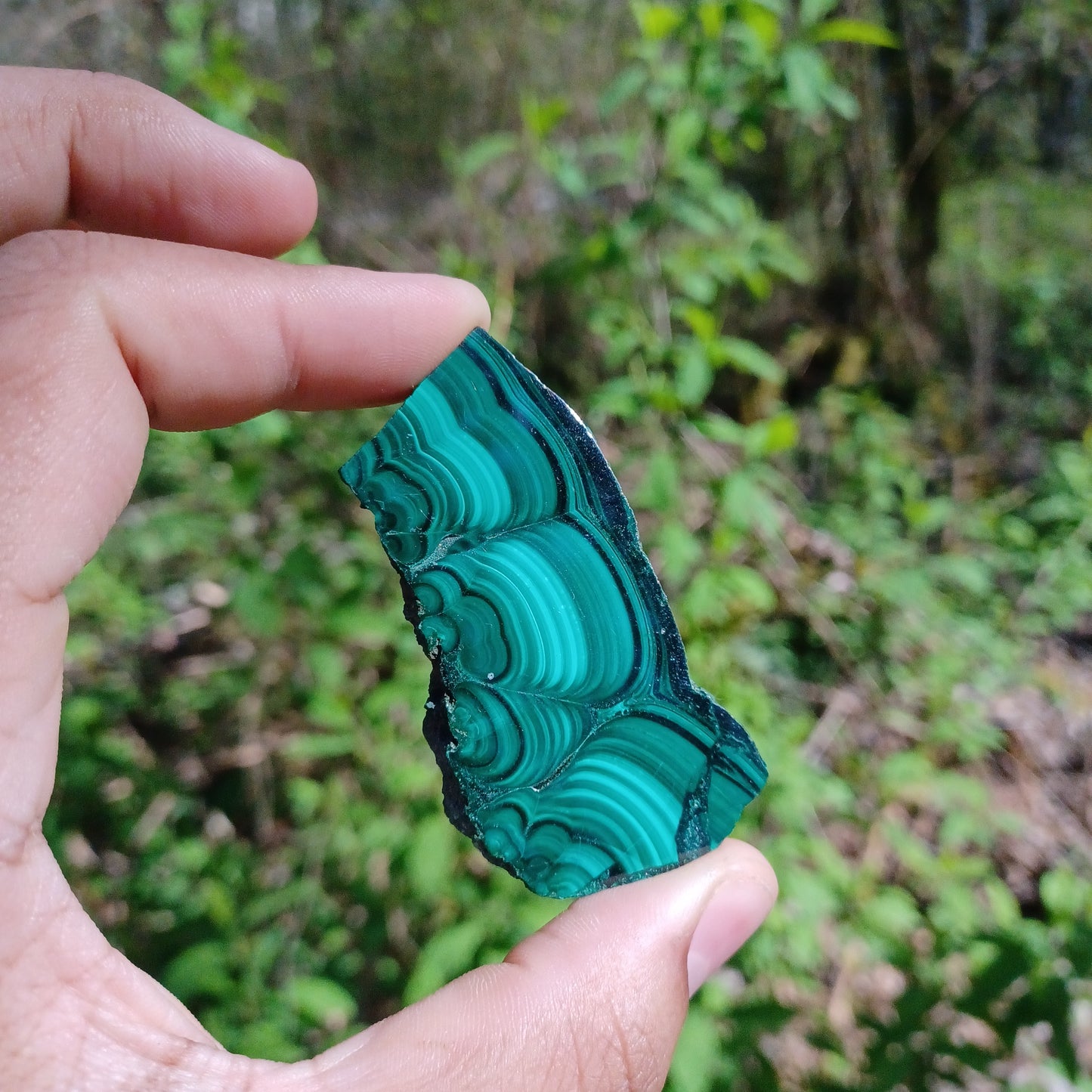 Polished Malachite Slices