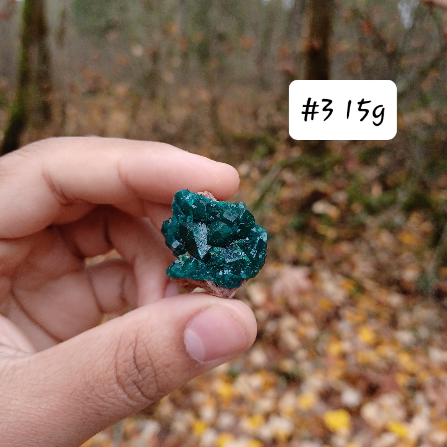 Small Dioptase clusters