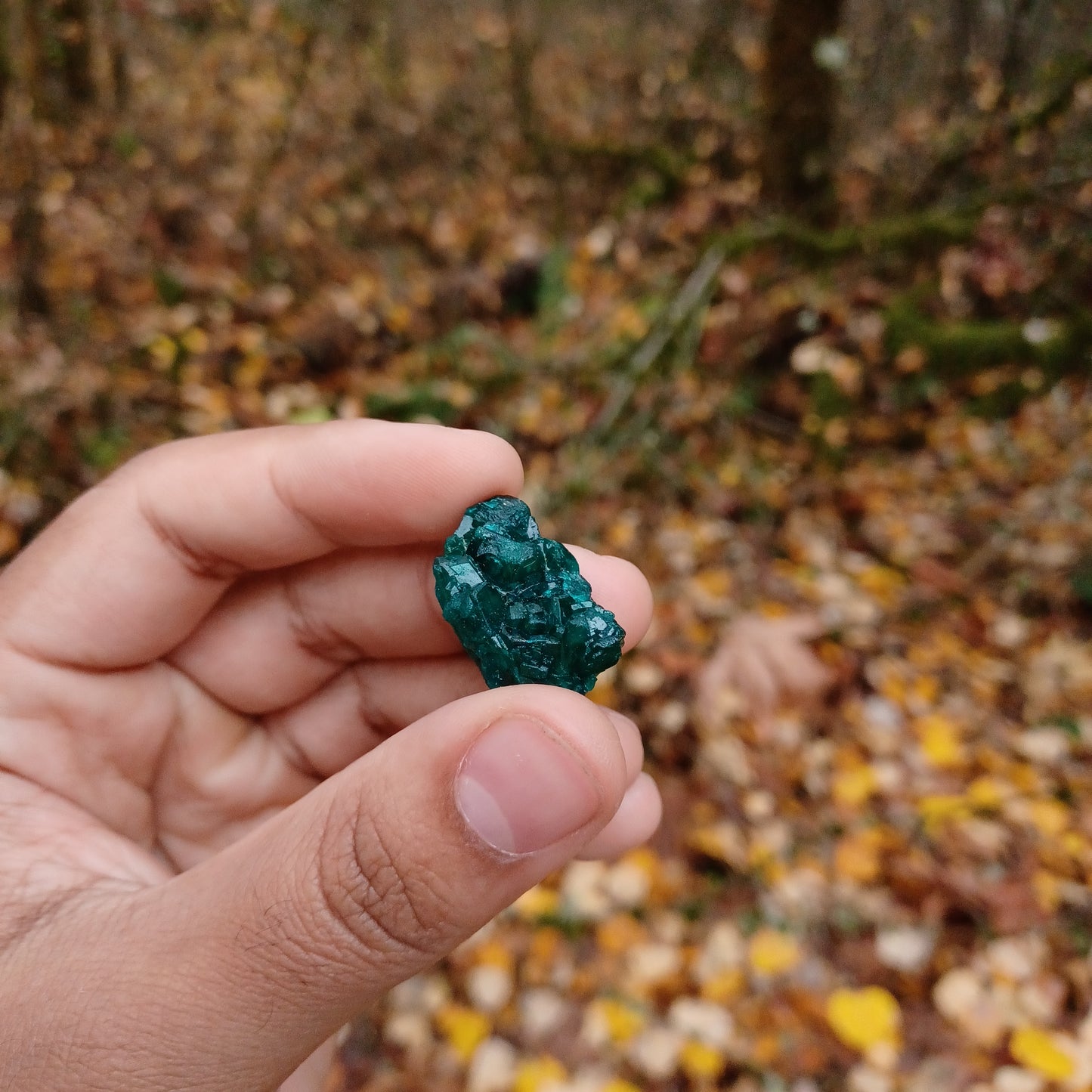 Small Dioptase clusters