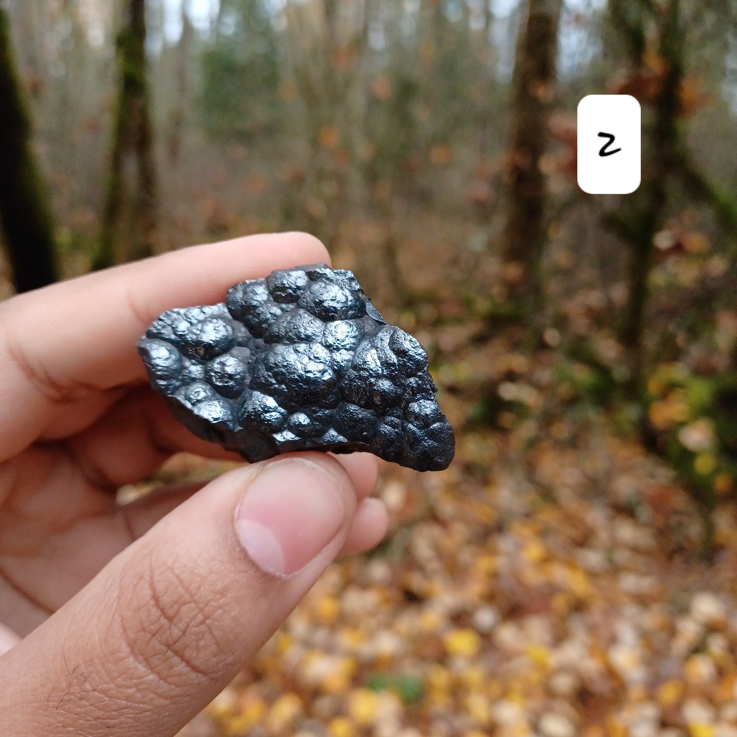 Boytroidial hematite