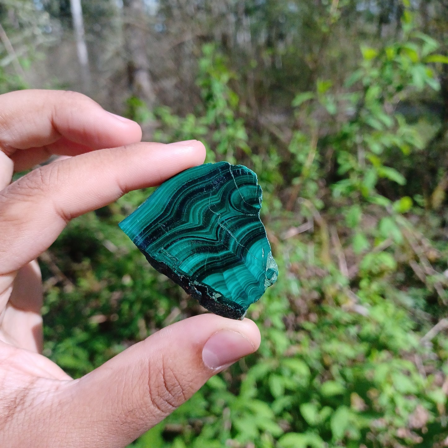Polished Malachite Slices