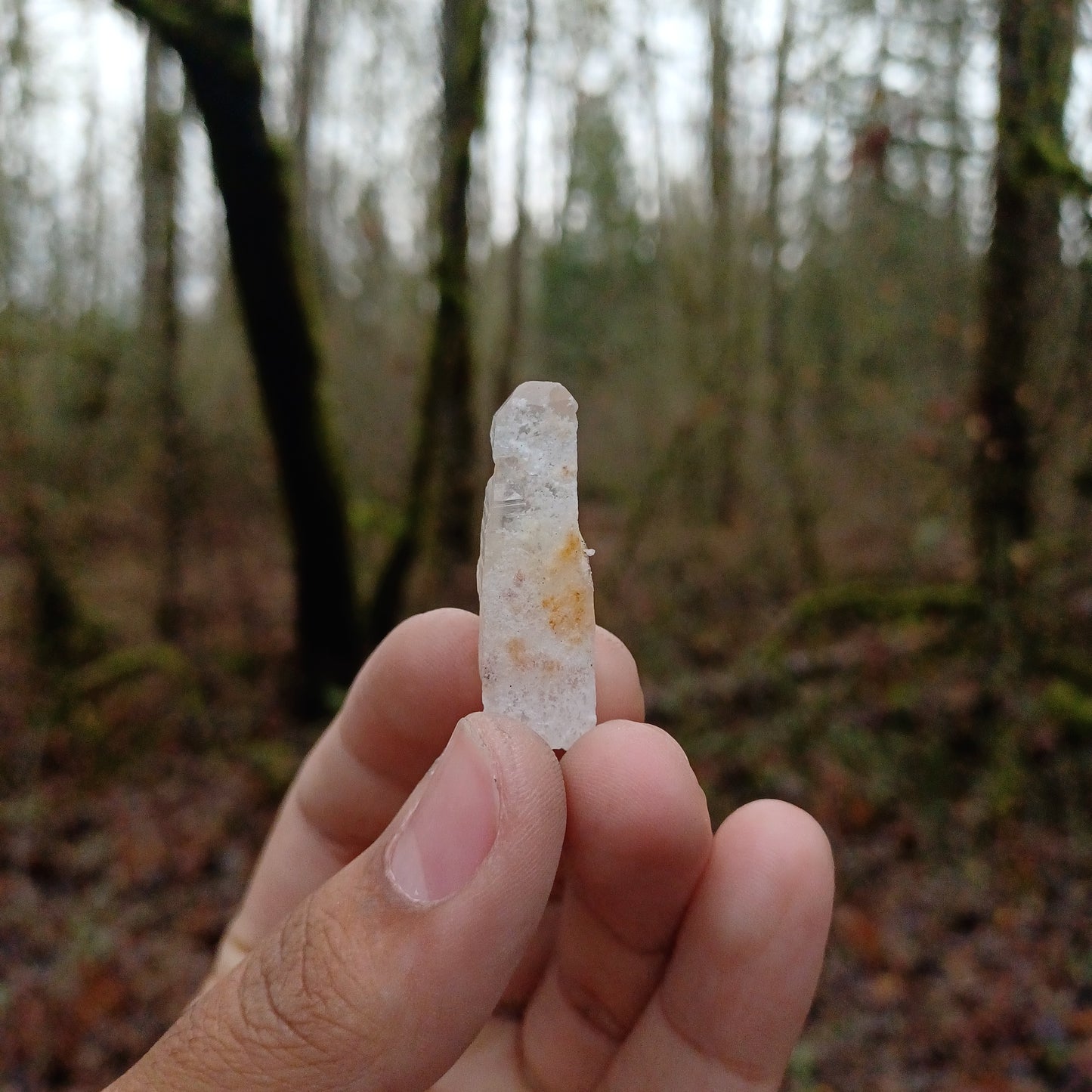 Limonite Included Quartz Points