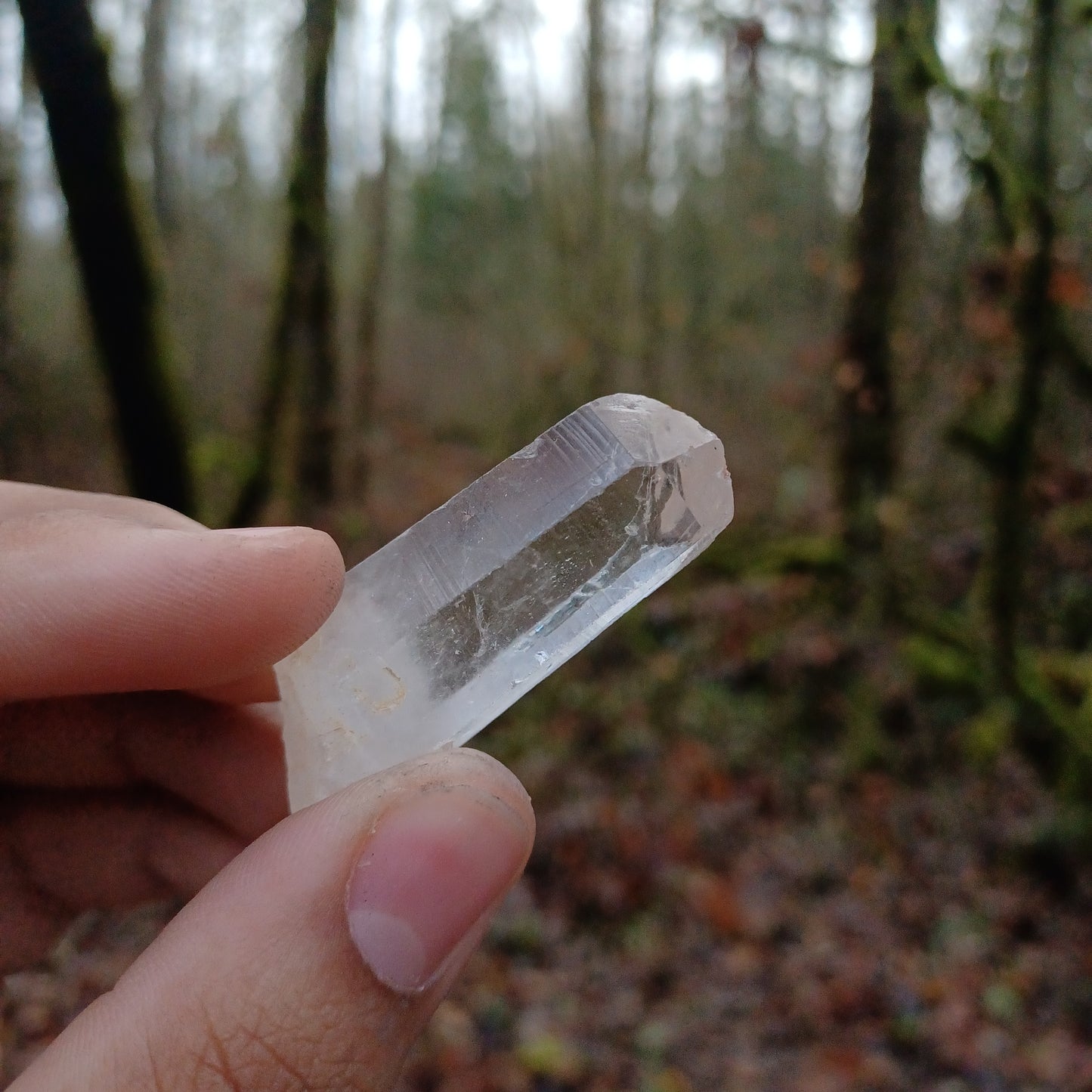 Lemurian Quartz points