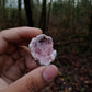 Pink Amethyst Geodes