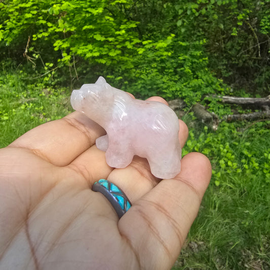 Bear Carvings