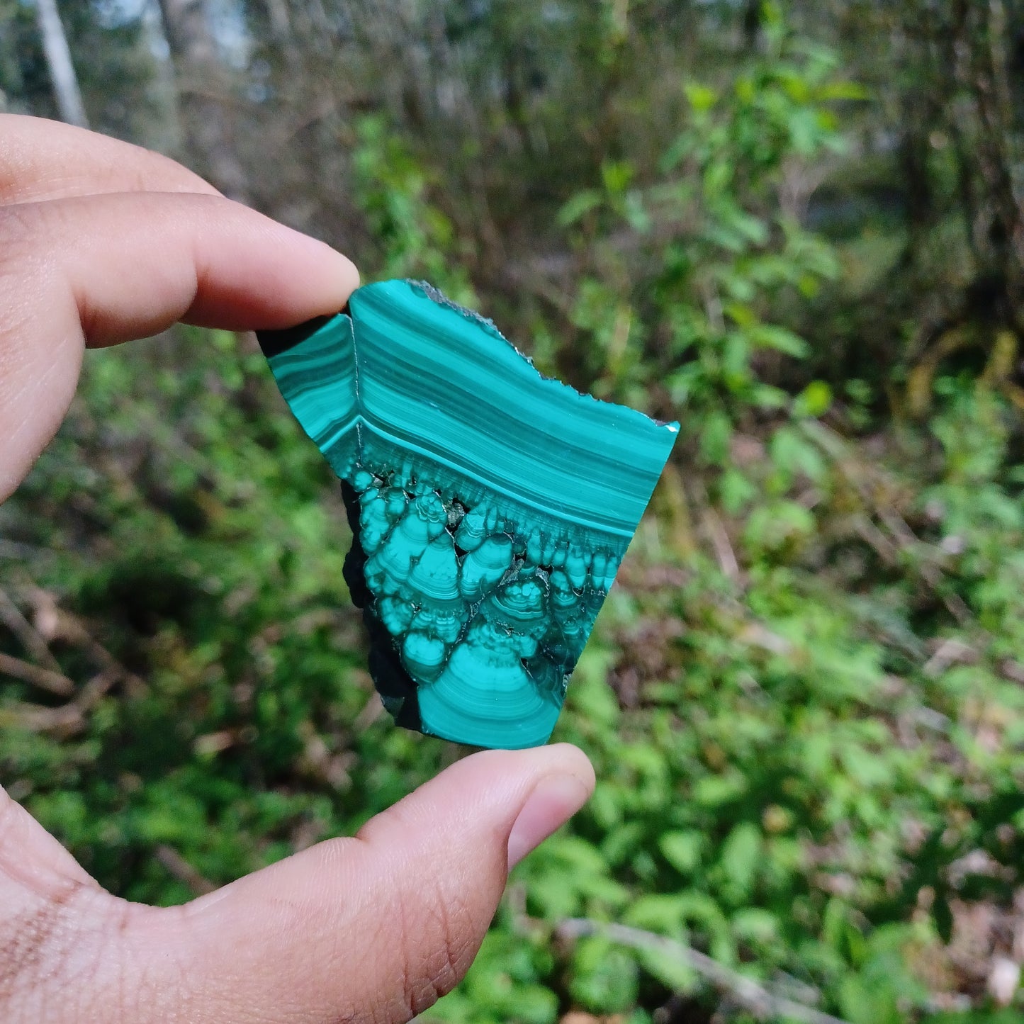 Polished Malachite Slices