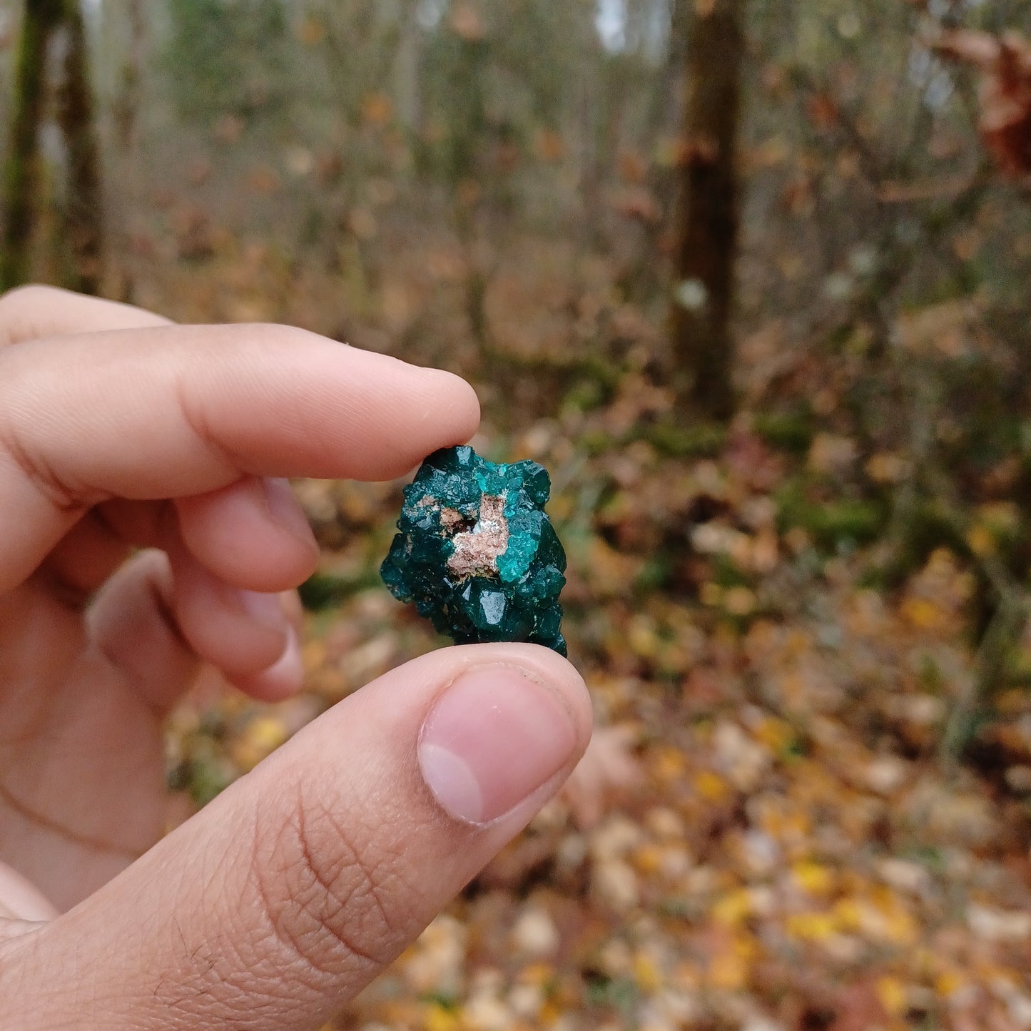 Small Dioptase clusters