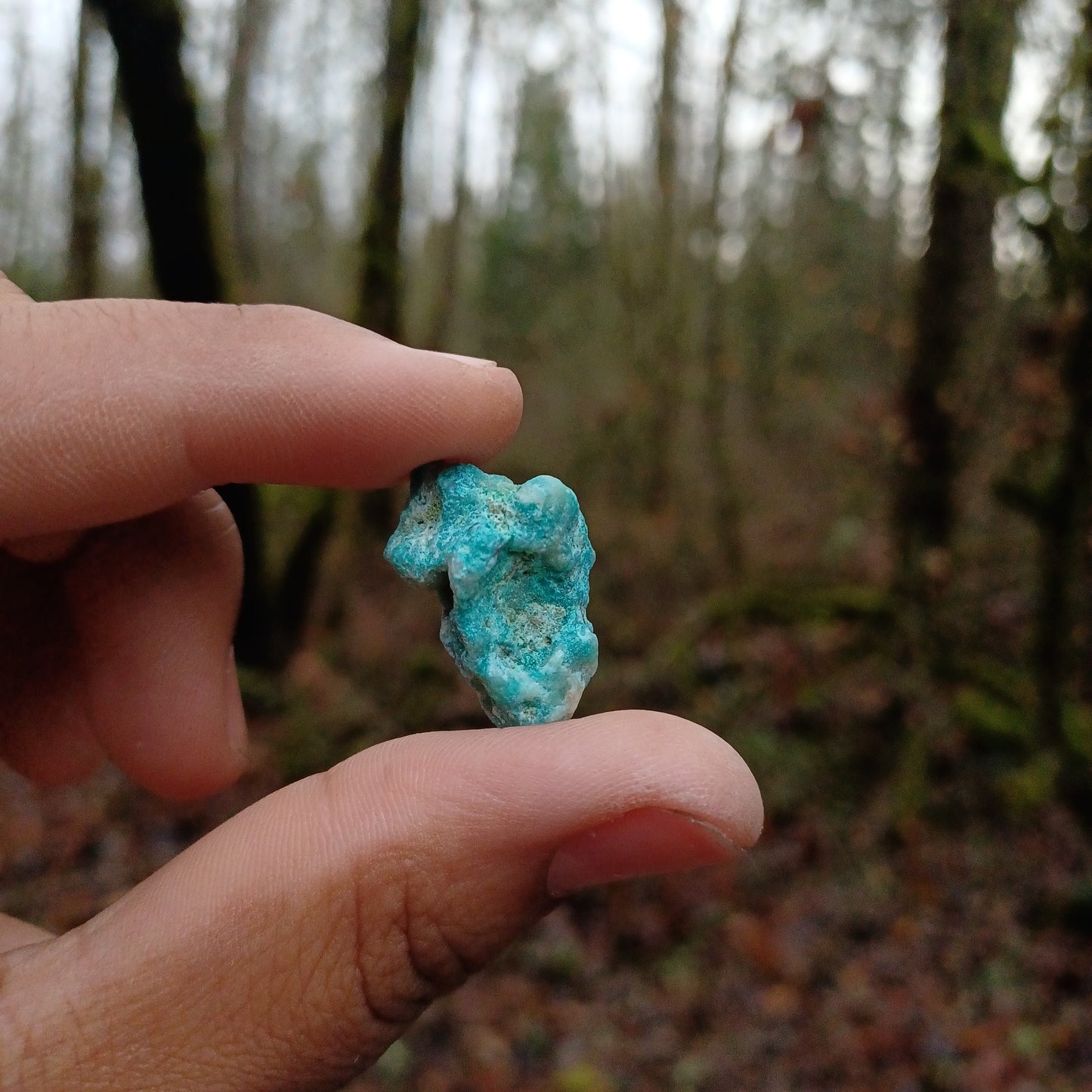 Raw Chrysocolla pieces