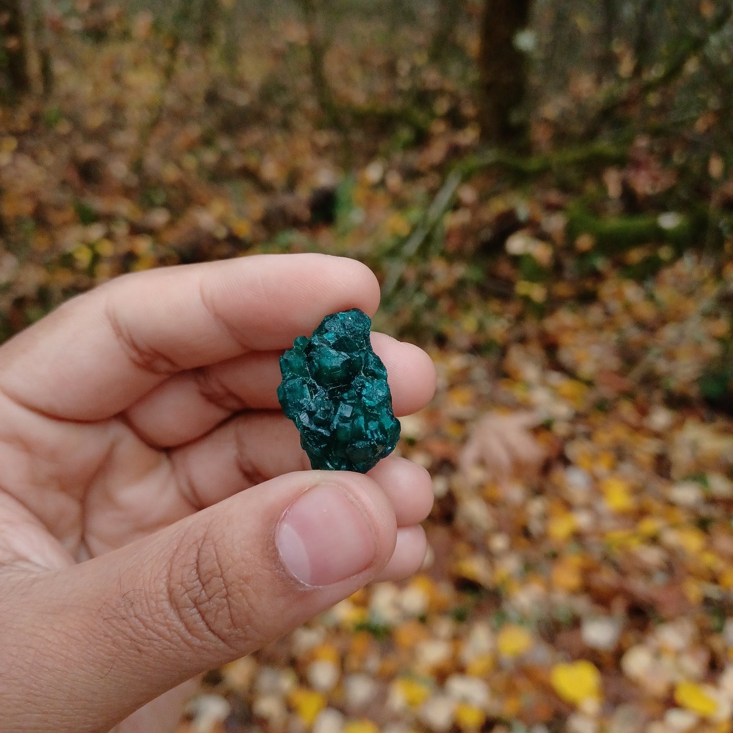 Small Dioptase clusters