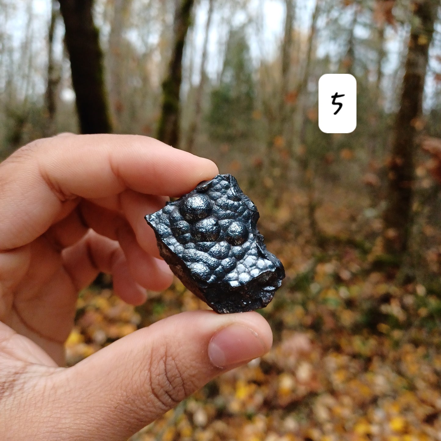 Boytroidial hematite