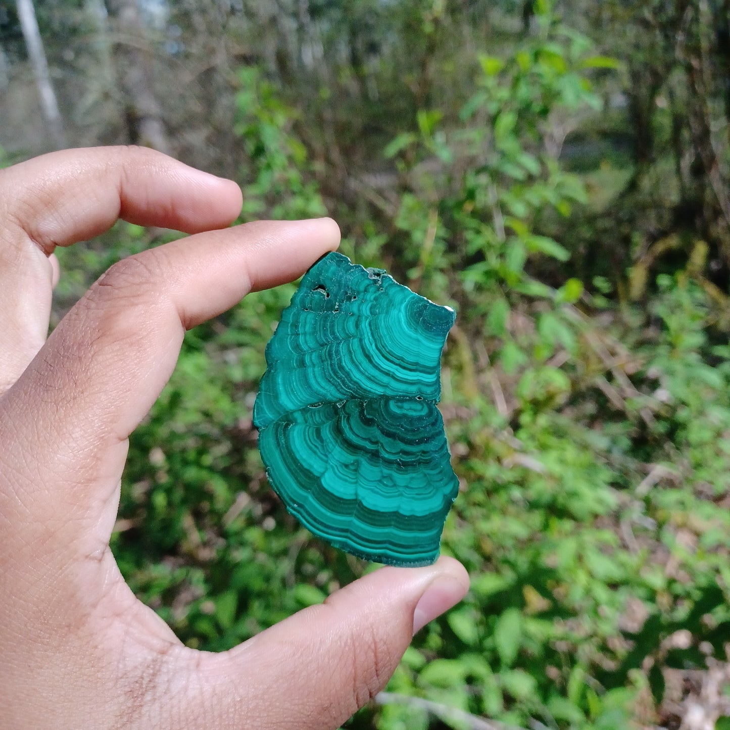 Polished Malachite Slices