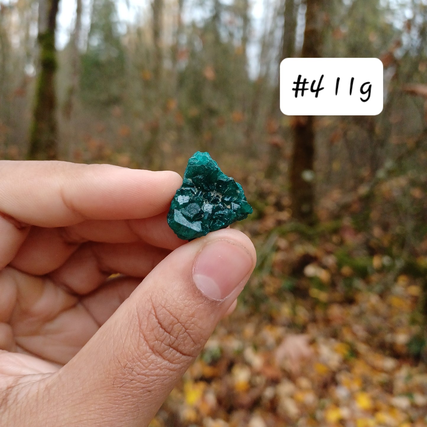 Small Dioptase clusters
