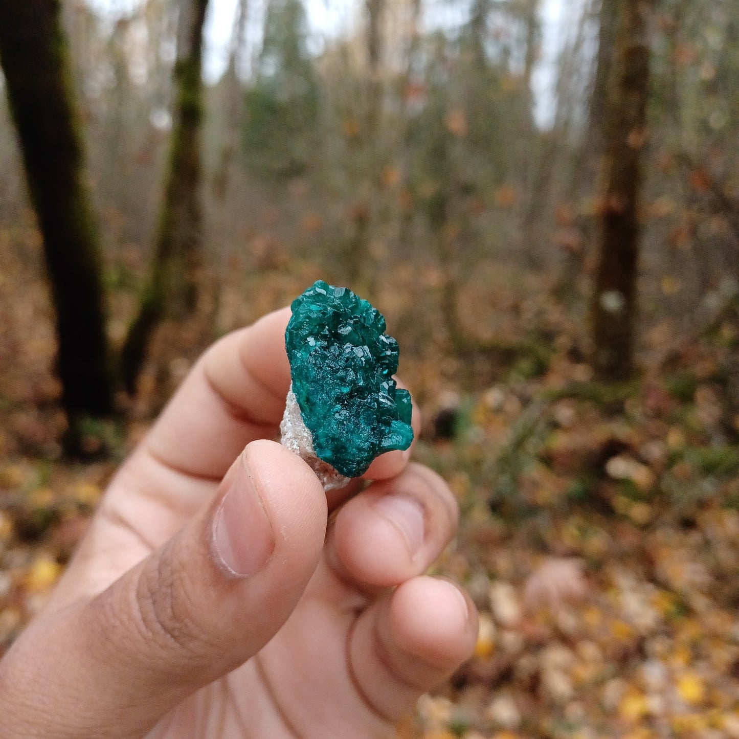 Small Dioptase clusters
