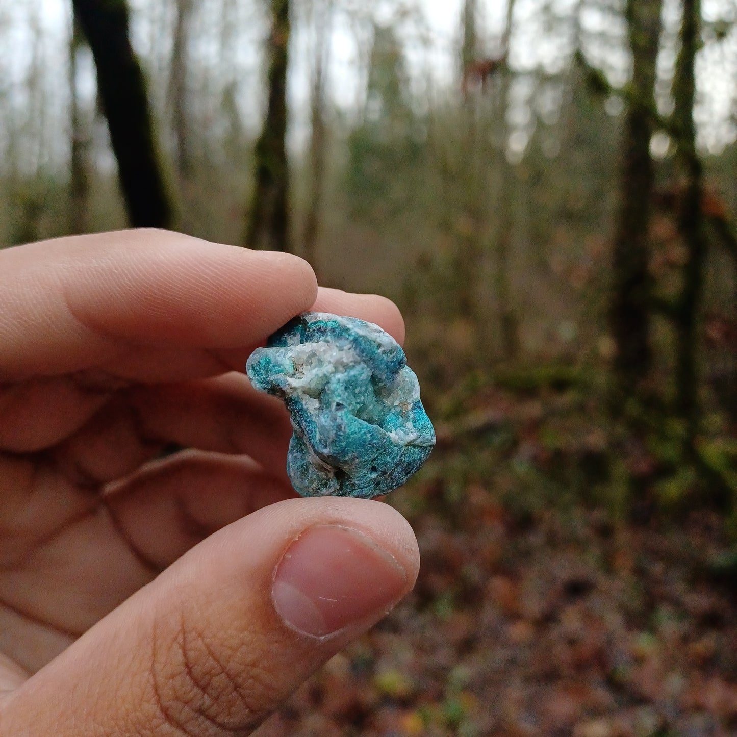 Raw Chrysocolla pieces