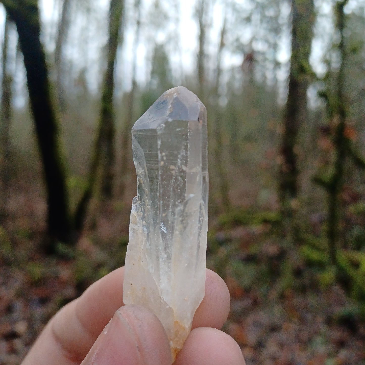 Lemurian Quartz points