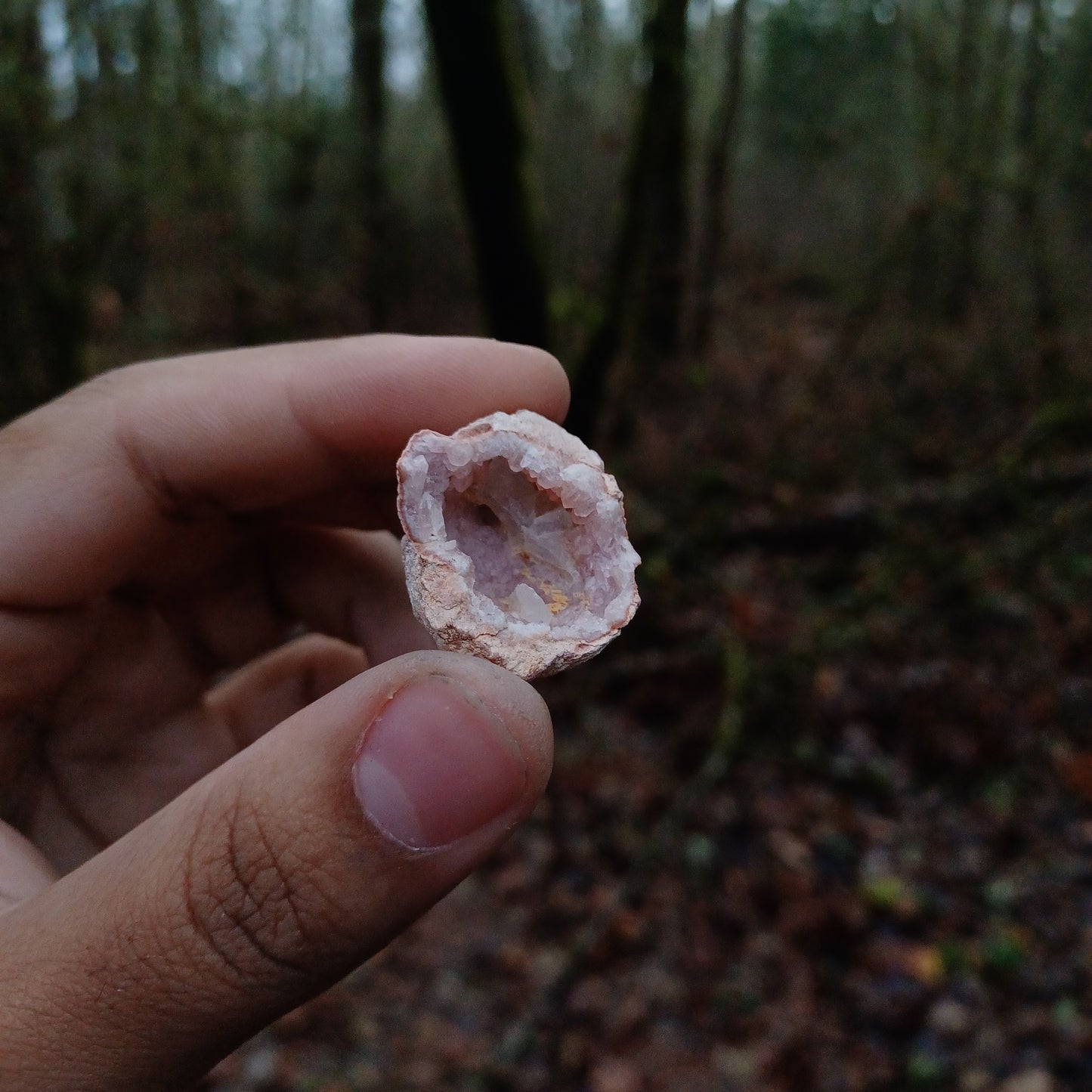 Pink Amethyst Geodes