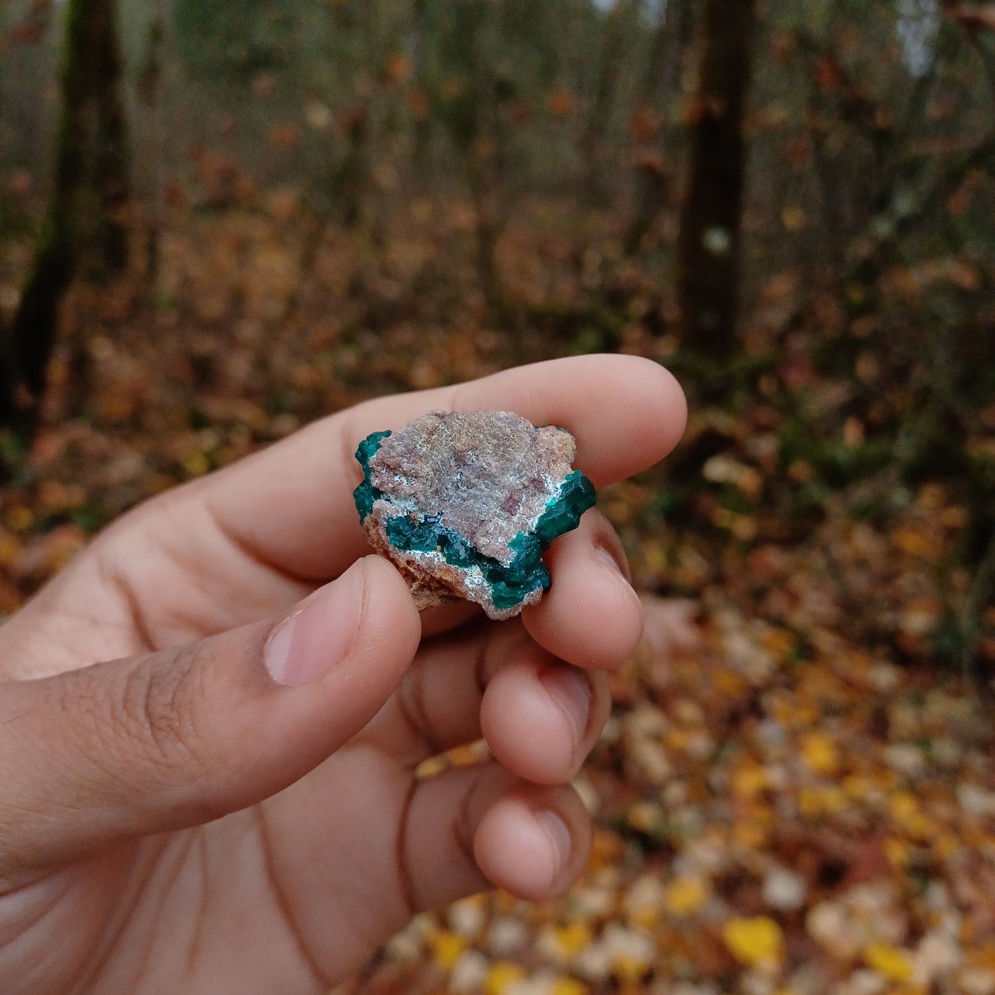 Small Dioptase clusters