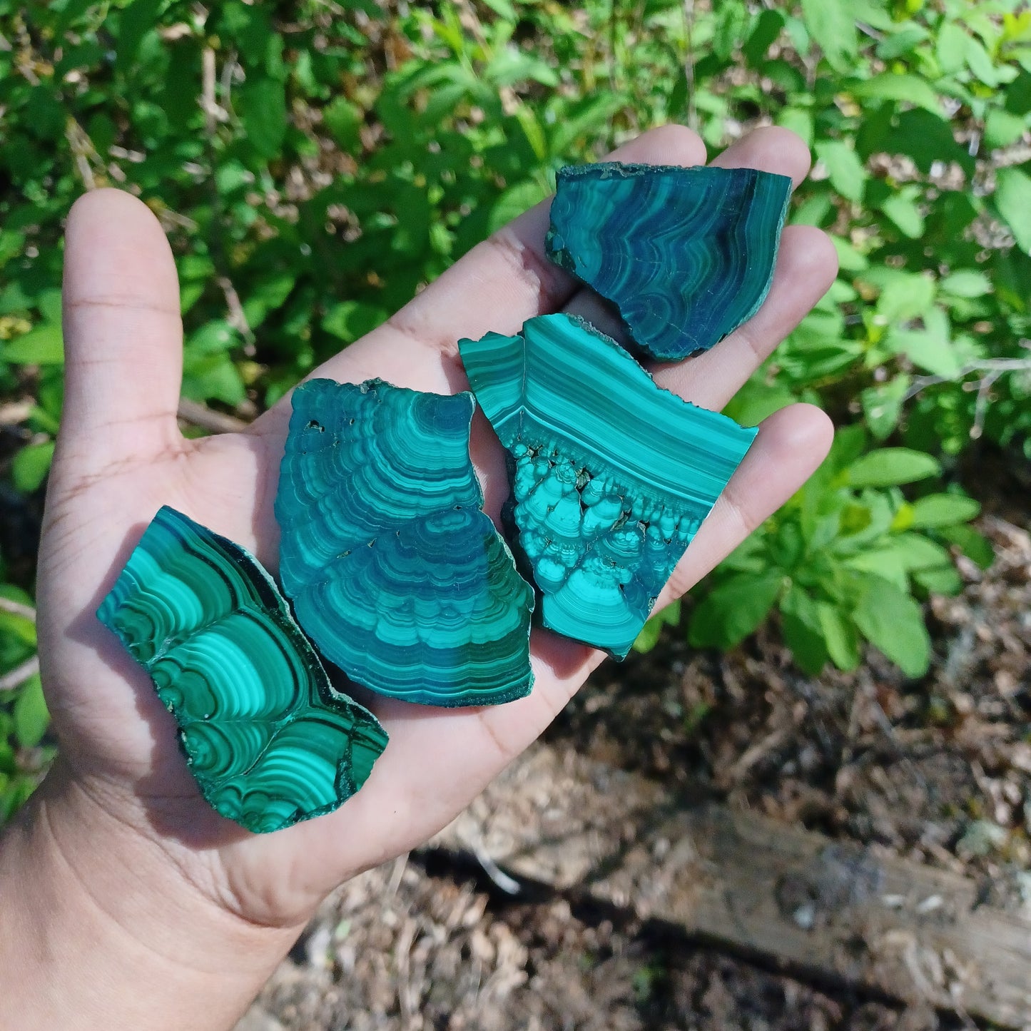 Polished Malachite Slices