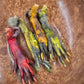 Dyed Muskrat feet
