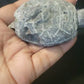 Sphalerite Turtles